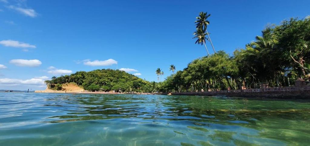 Naturlandskabet i nærheden af feriehuset
