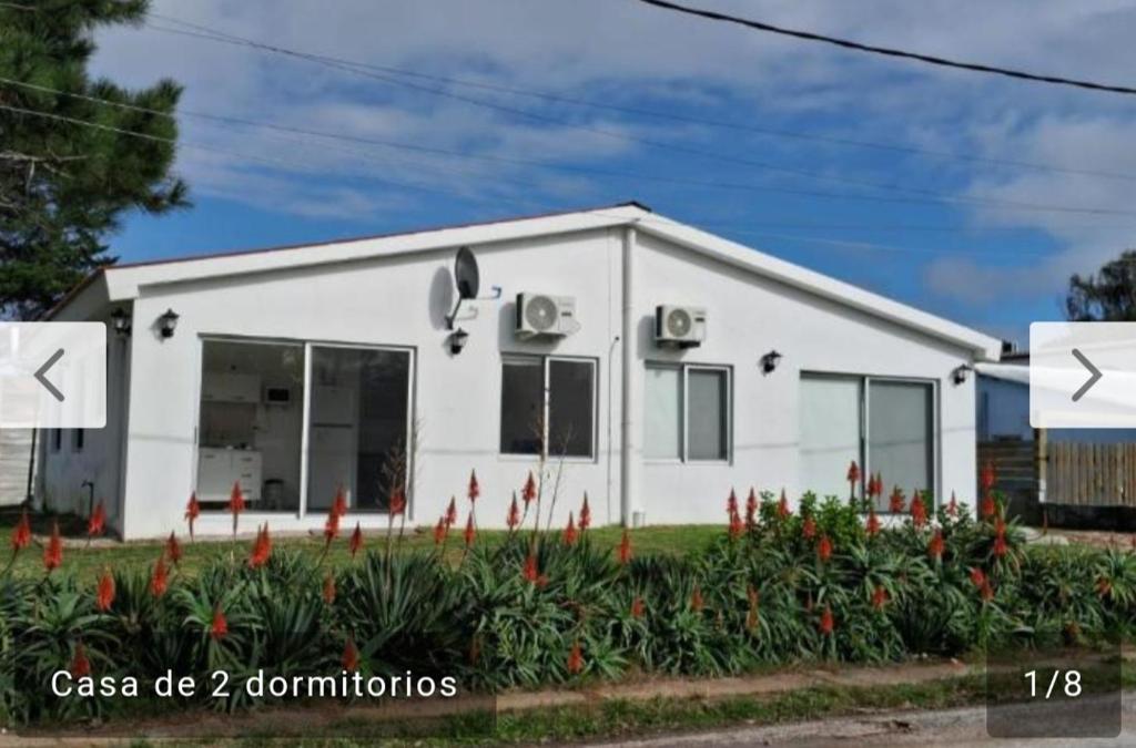 un edificio blanco con muchas plantas delante de él en tami, en La Paloma