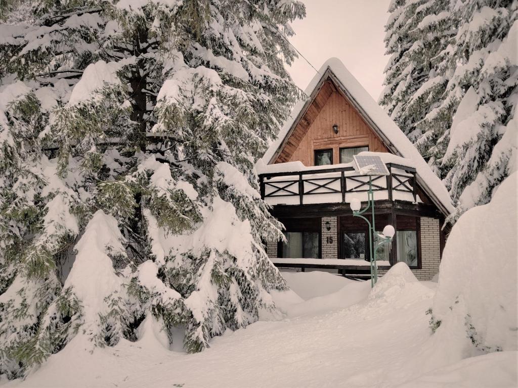 Alpina Maisonette Poiana Brasov - Resim 17