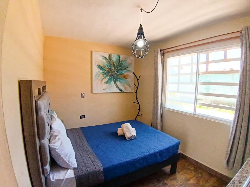 een slaapkamer met een blauw bed en een raam bij Suite descanso para dos, Paseo Durango in Durango