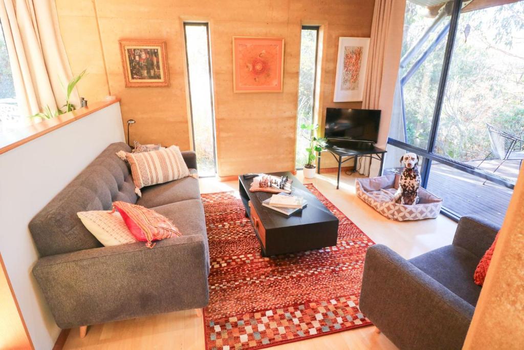 比奇沃斯Number Forty Two的客厅里有一张沙发和一台电视