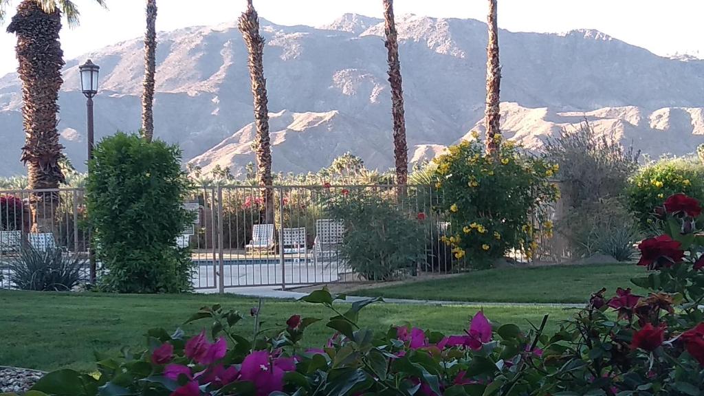 a garden with palm trees and mountains in the background at Spectacular View Just Steps to Pool and Jacuzzi at Sunrise Country Club in Rancho Mirage