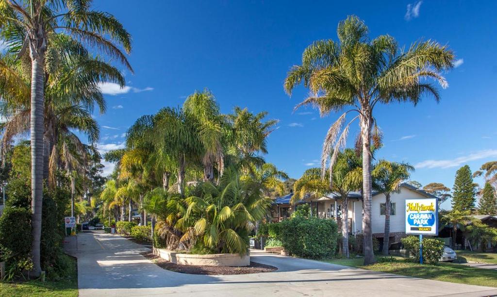 a street with palm trees in a resort at Mollymook Caravan Park in Mollymook