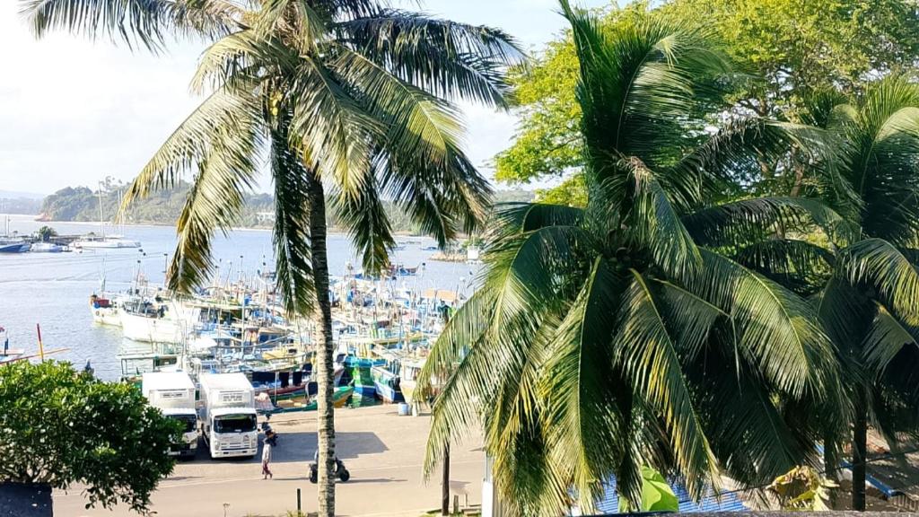 eine Gruppe von Palmen in der Nähe eines Hafens mit Booten in der Unterkunft Ocean Whisper Guest House in Mirissa