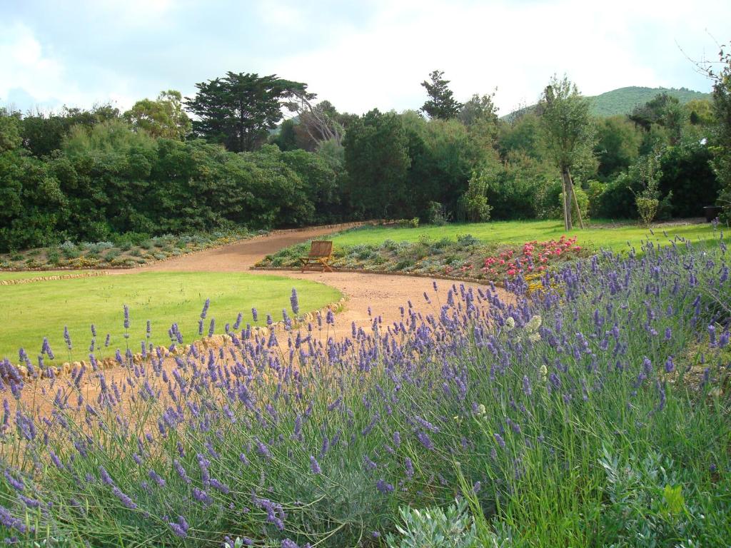 a garden with purple flowers and a dirt road at Cala Dei Mori in Livorno
