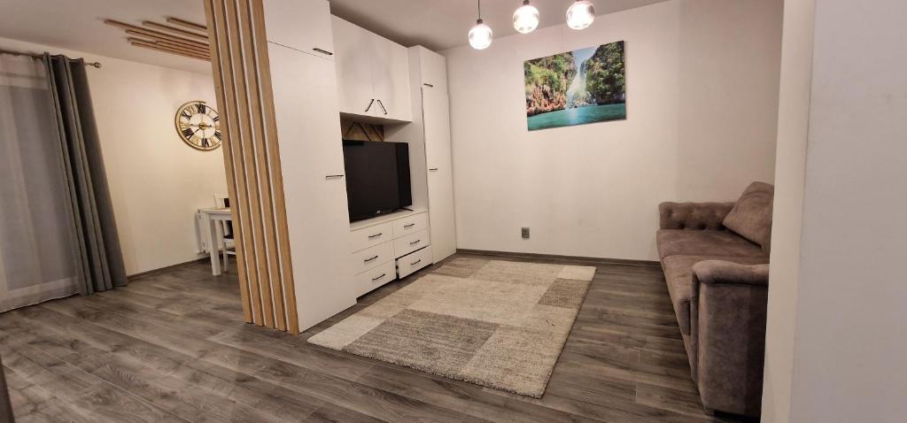 a living room with a television and a couch at Flavius apartament 's 11 in Cluj-Napoca