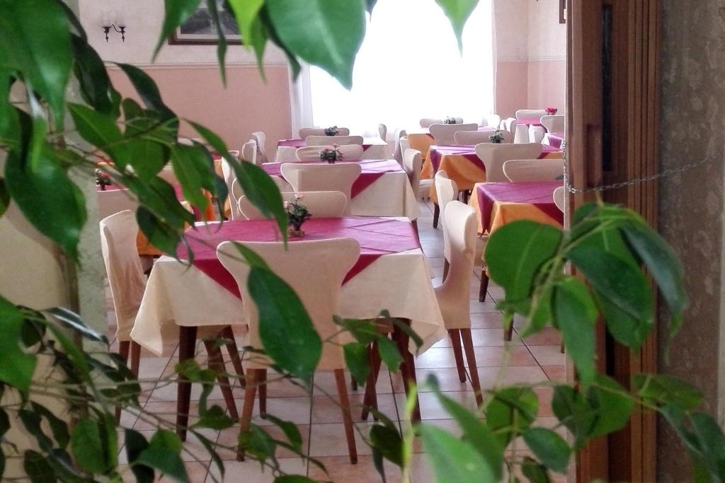 Restaurace v ubytování Hotel Carol