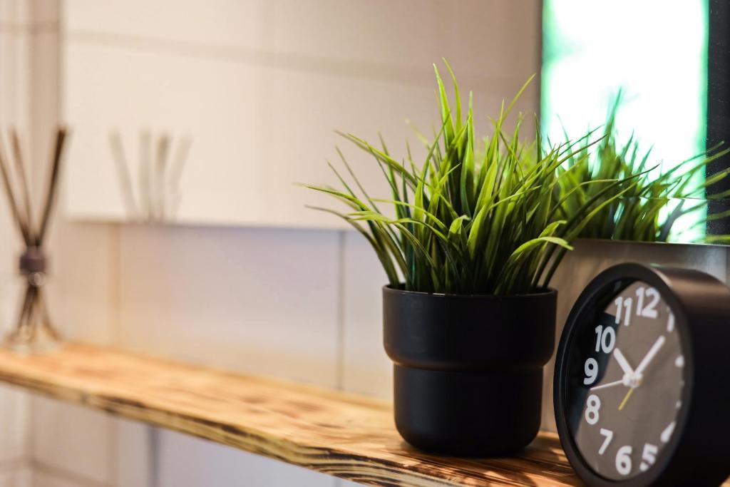 Winzig Apartment - 15