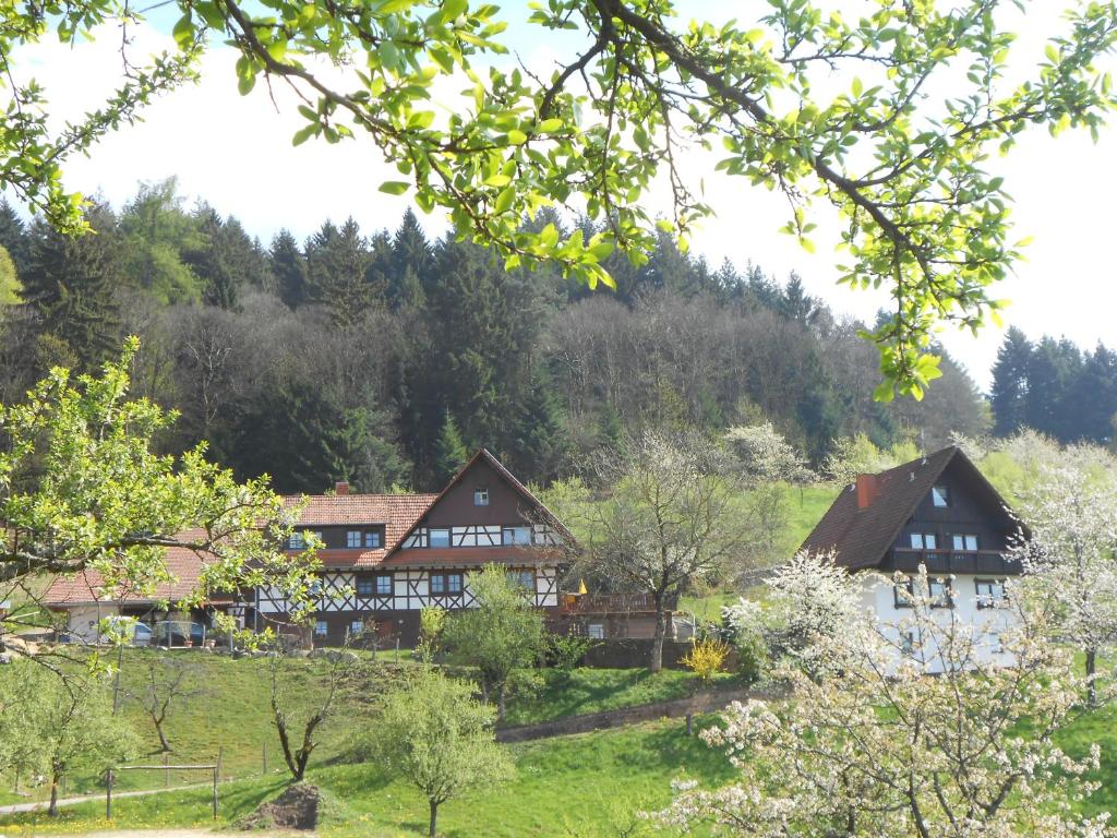 a large house in the middle of a field with trees at Ferienhof Fischer in Seebach