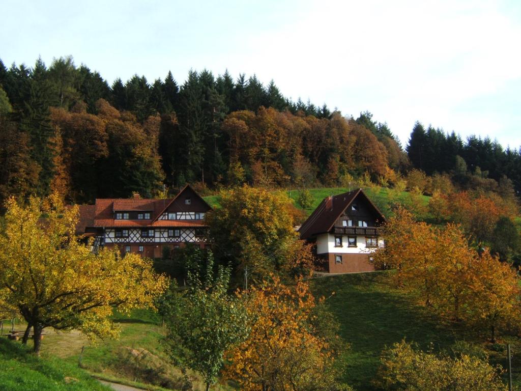 Příroda nedaleko apartmánu