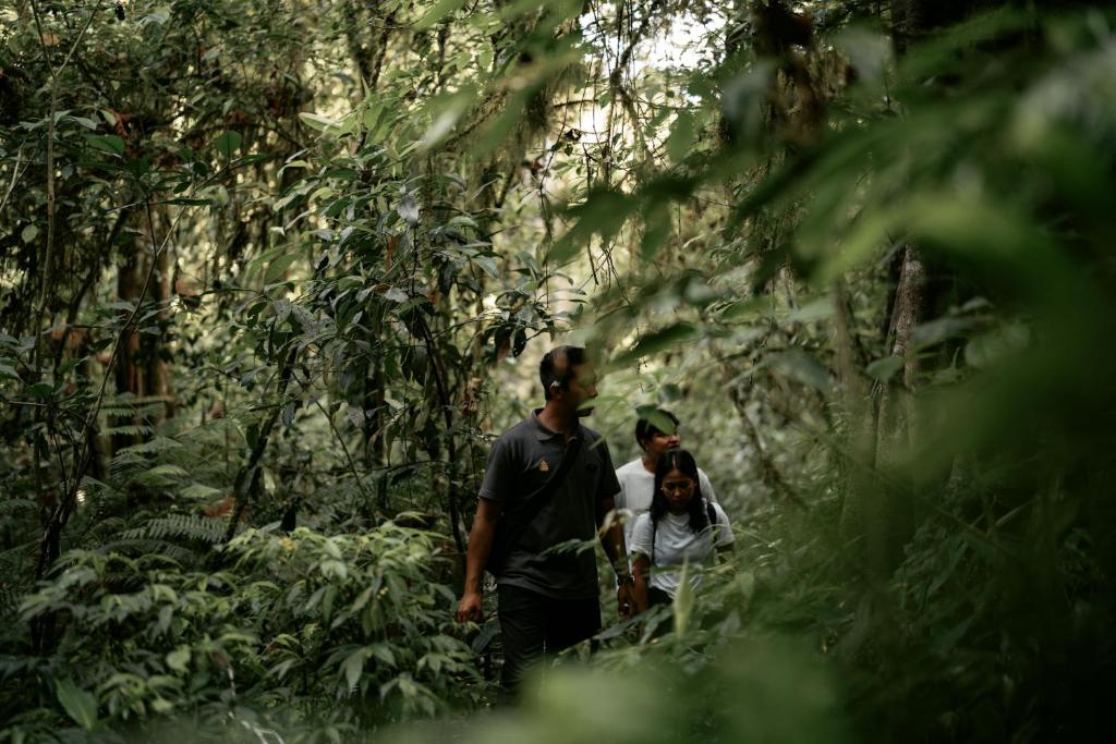 Hosté ubytování Elevate Bali