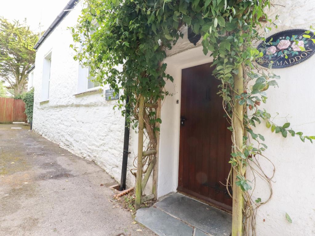 a door with ivy growing up the side of a house at Rosemaddon in Newquay