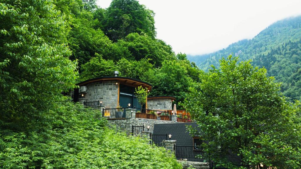 a building on the side of a hill with trees at Oria Hotel Boutique in Çamlıhemşin