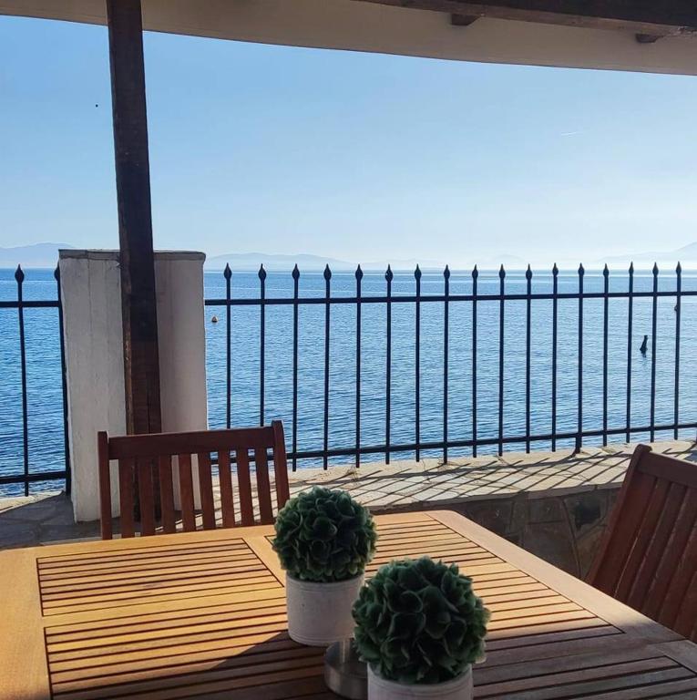 海景或從度假屋拍的海景