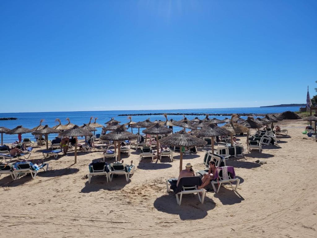 a beach with many chairs and umbrellas and the ocean at Ferienwohnung Lika in Cala Bona