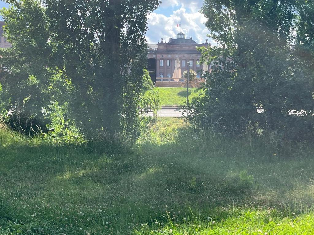 Un edificio a lo lejos con un campo de hierba. en triDOMESFRANCE, en Saverne