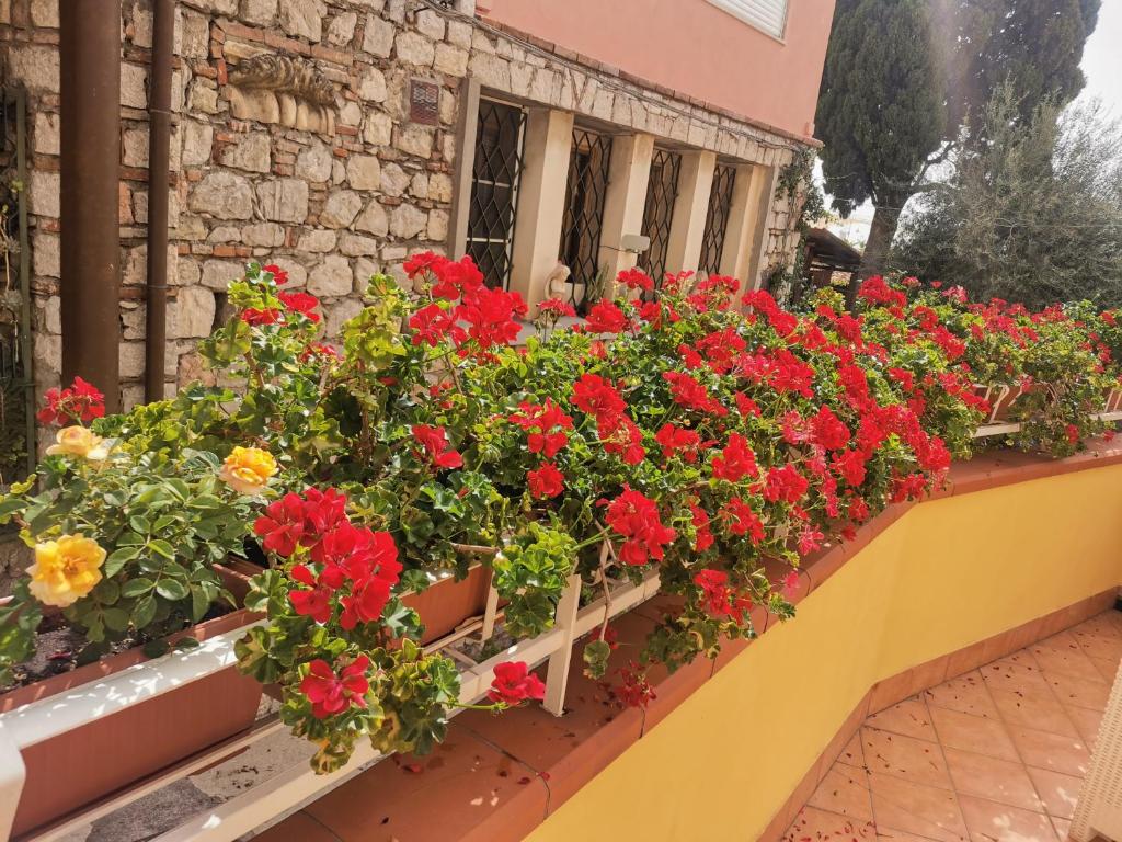 La Cartolina Apartment - 7