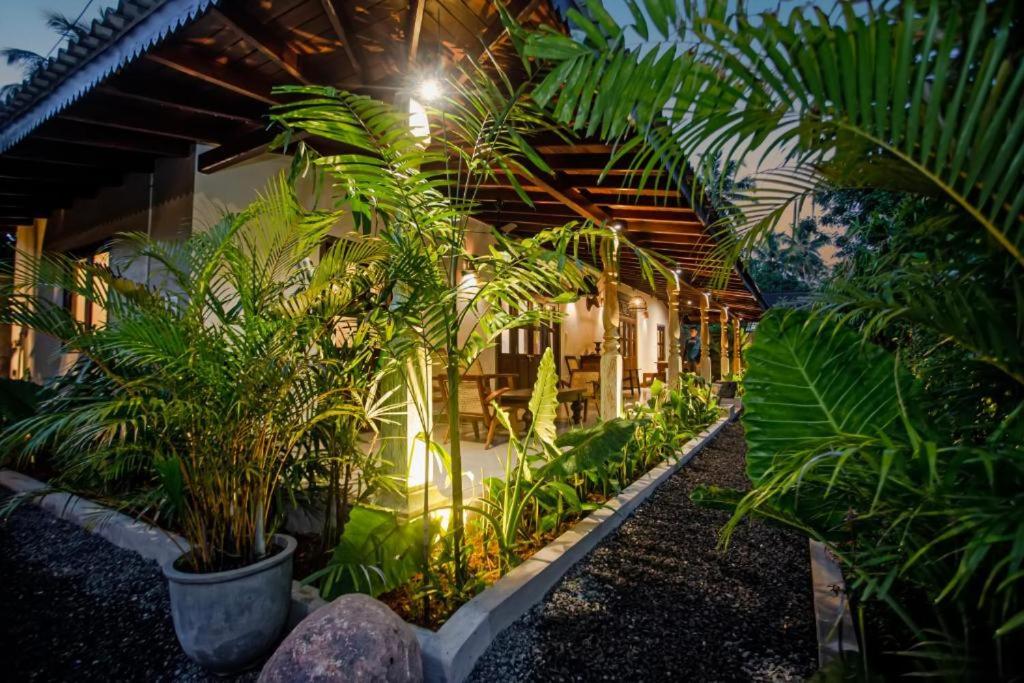 ウナワトゥナにあるVilla Nirvanaの植物がたくさん立ち並ぶ家
