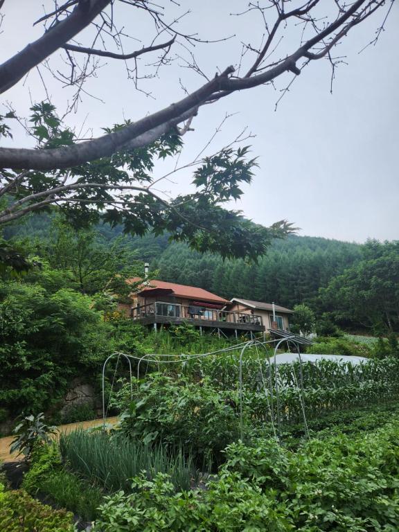 a house in the middle of a forest at Shinsun Noelum in Hongcheon
