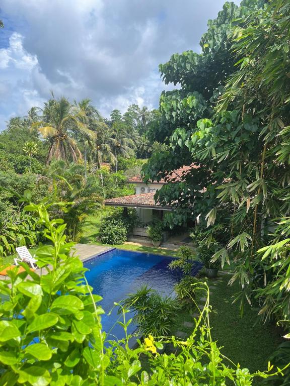 a swimming pool in front of a house with trees at Ali Bungalow - Galle in Galle