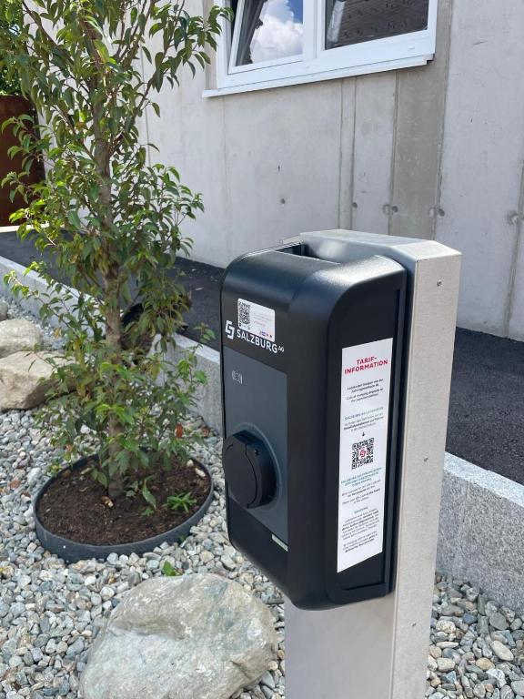 Hotel Aloisia, Hotel Garni - 4