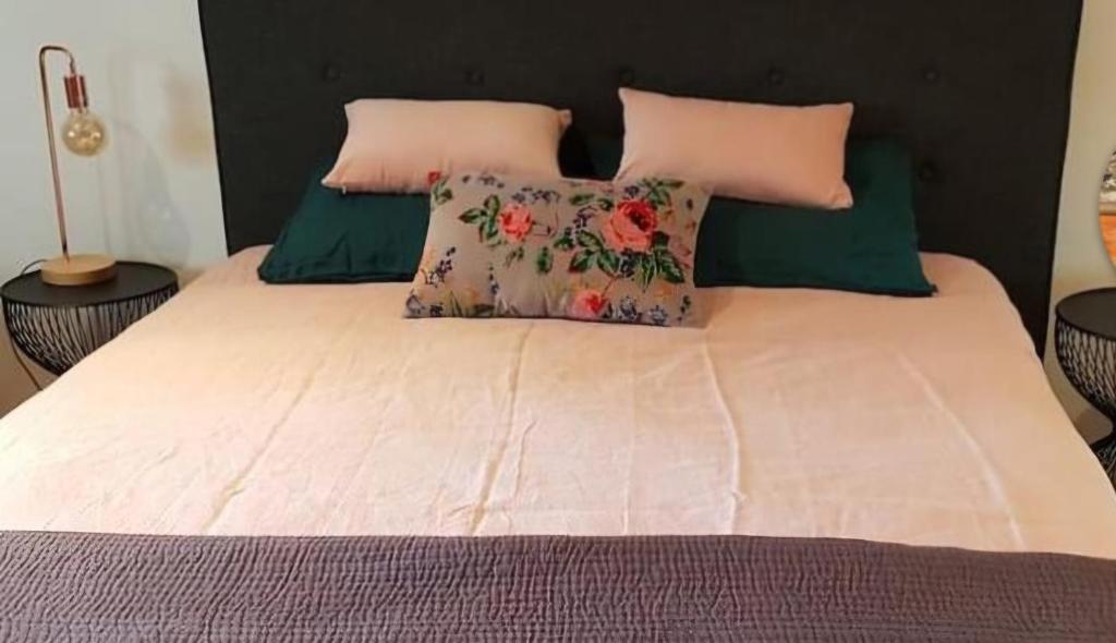 a bed with pink and green pillows on it at Chambre chez l habitant in Lissieu