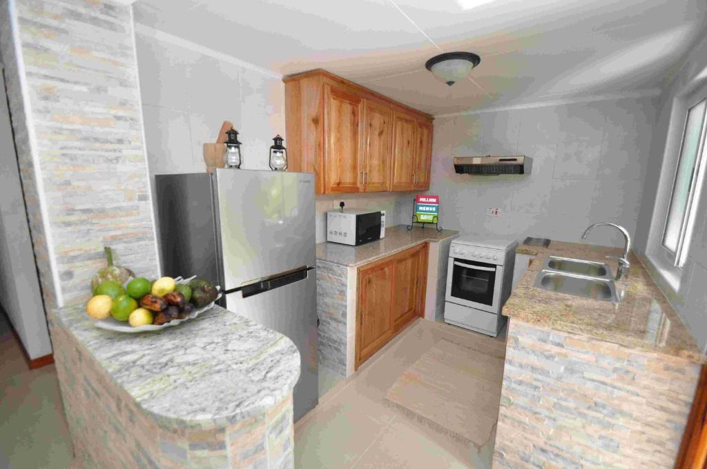 Kuchyň nebo kuchyňský kout v ubytování Chrisent Residence