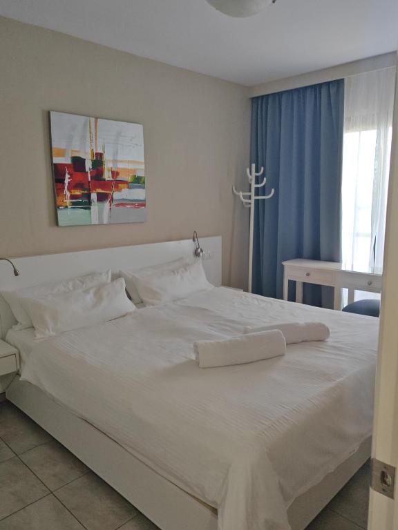 Club Excelsior II - 4