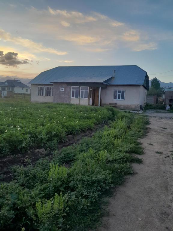 a house with a blue roof in a field at Ali guest house in Sary-Mogul