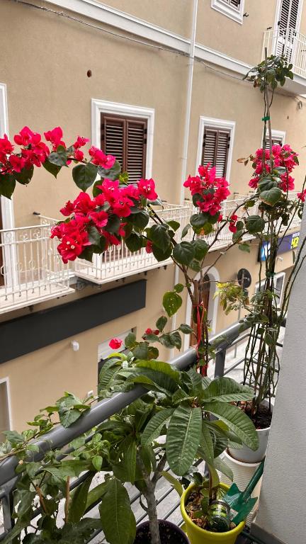 Μπαλκόνι ή βεράντα στο Home Sicilia