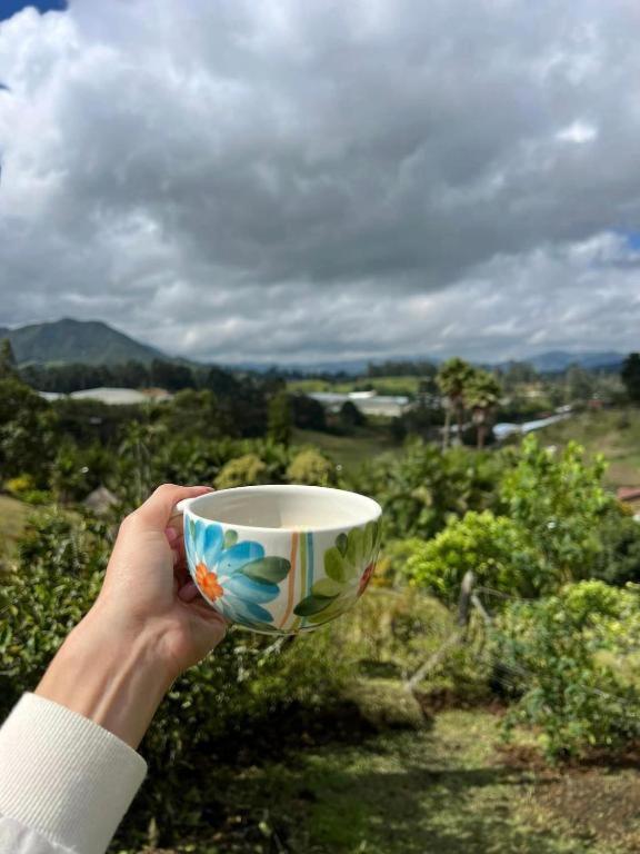 Alto Paraiso Glamping "A" photo