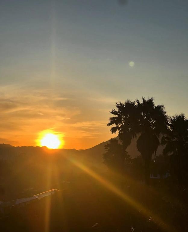 a sunset with palm trees and the sun in the sky at Alto Paraiso Glamping in Carmen de Viboral