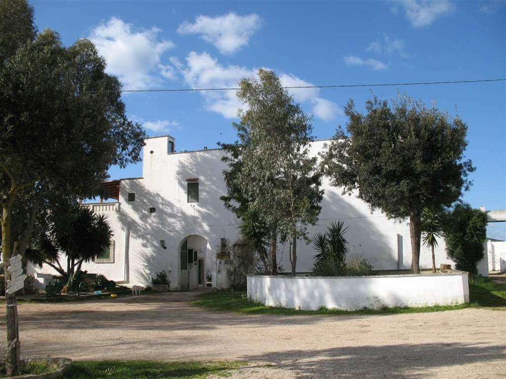 オーリアにあるLa Casa Del Massaroの目の前に木々が植えられた白い家