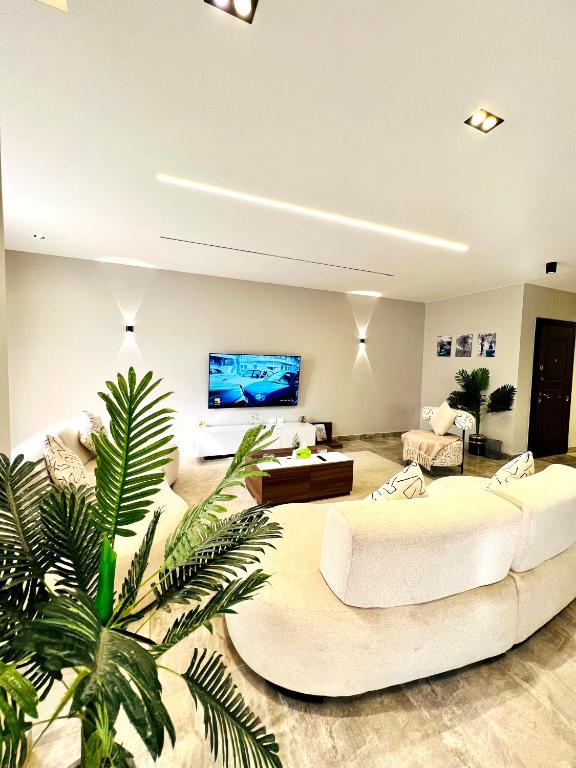 TV a/nebo společenská místnost v ubytování Luxury apartment