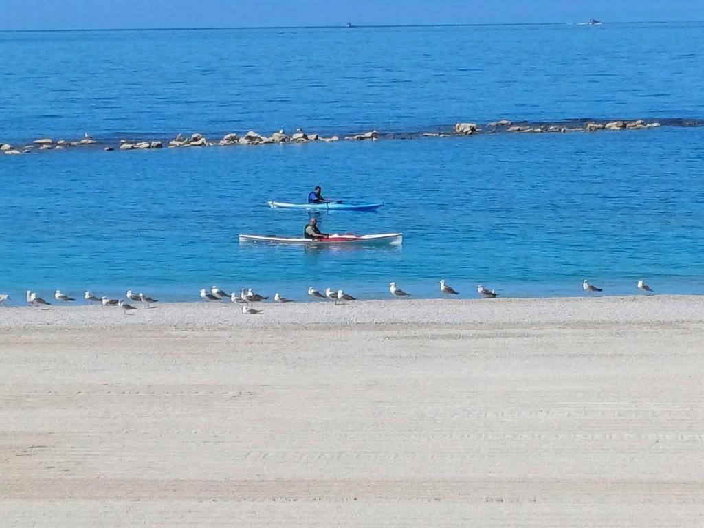 a person in a kayak in the water with birds on the beach at Il Rifugio Del Mare in Salerno