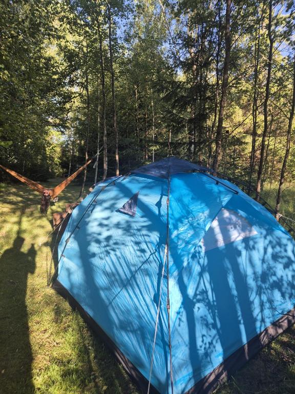 a blue umbrella sitting on the grass in a forest at Pri potoku in Štôla
