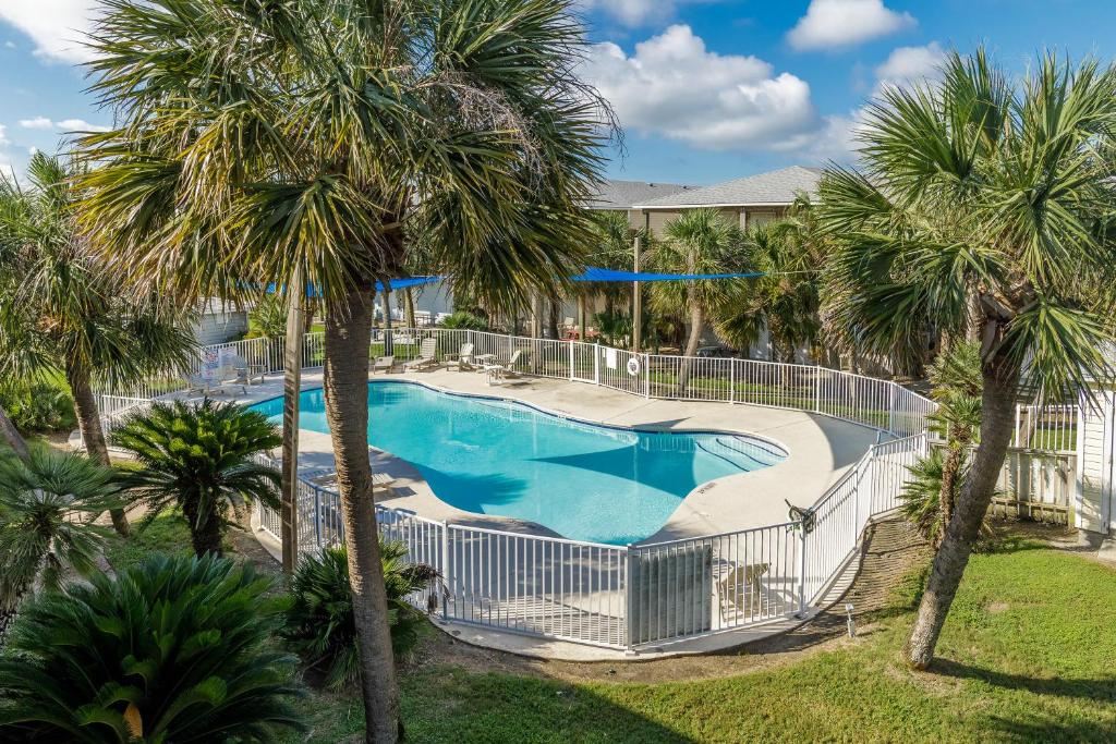 an overhead view of a swimming pool with palm trees at The Oasis - Pet Friendly Optional Golf Cart in Port Aransas
