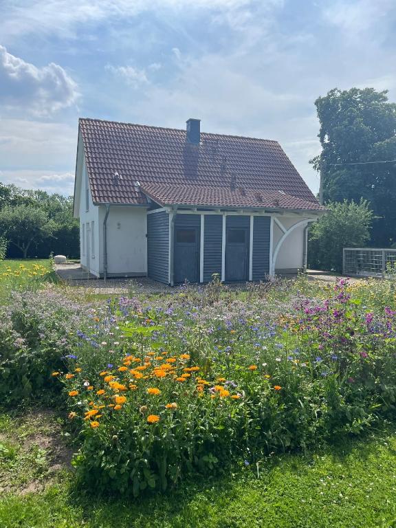 a house with a field of flowers in front of it at Ferienhaus Muschel in Kalkhorst