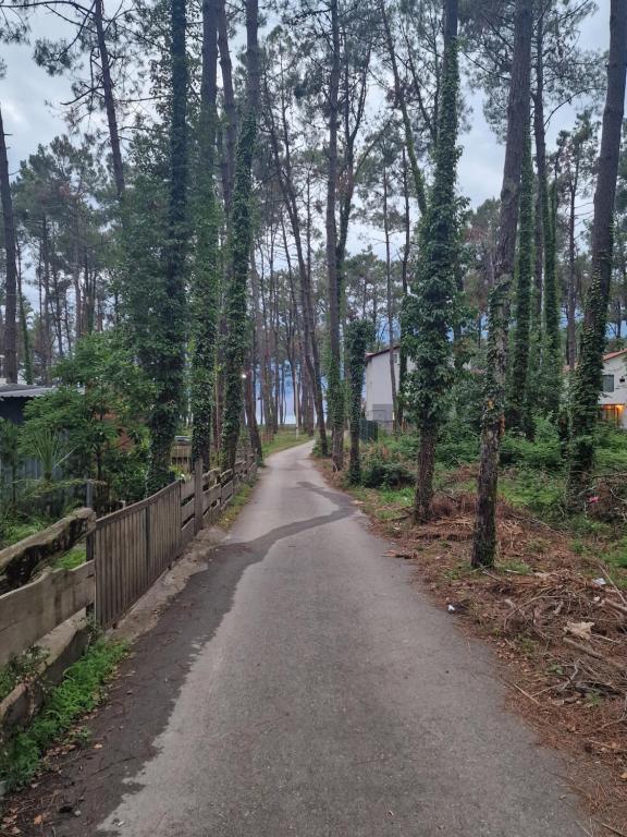 Paisaje cerca de esta casa o chalet