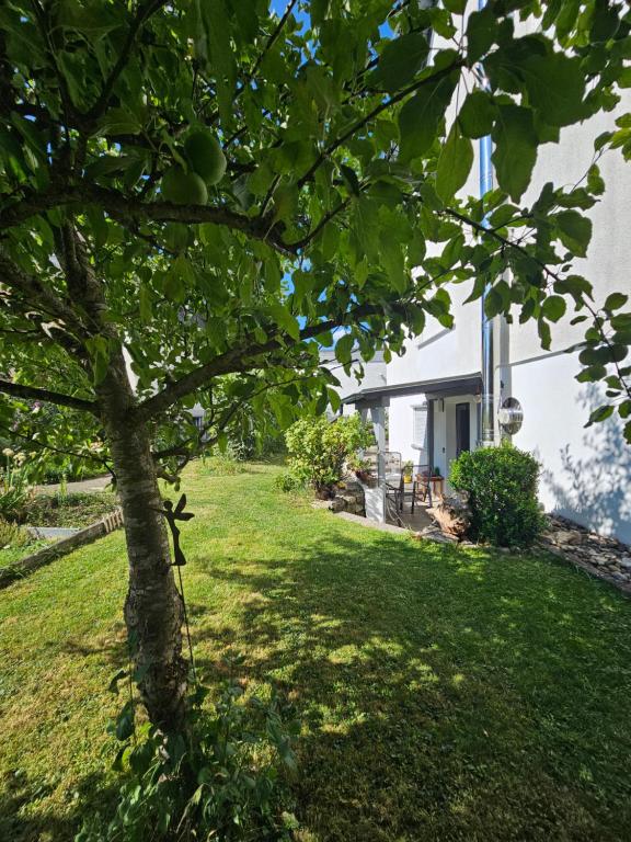 a tree in a yard next to a white house at Ammonit in Münsingen