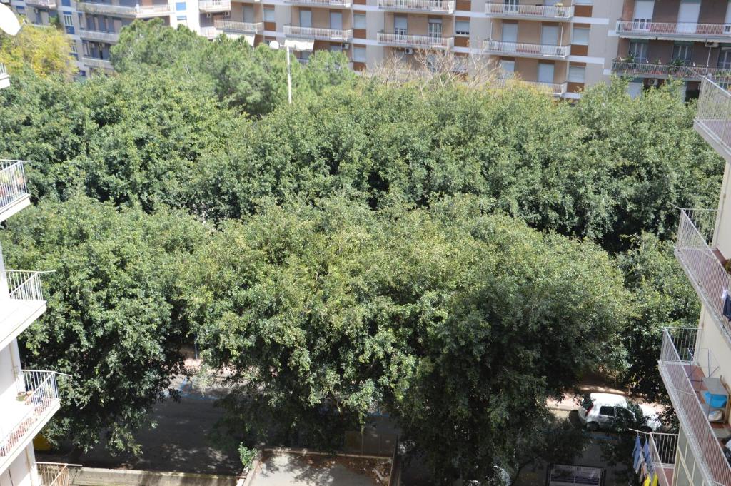 A garden outside Michelangelo Rooms