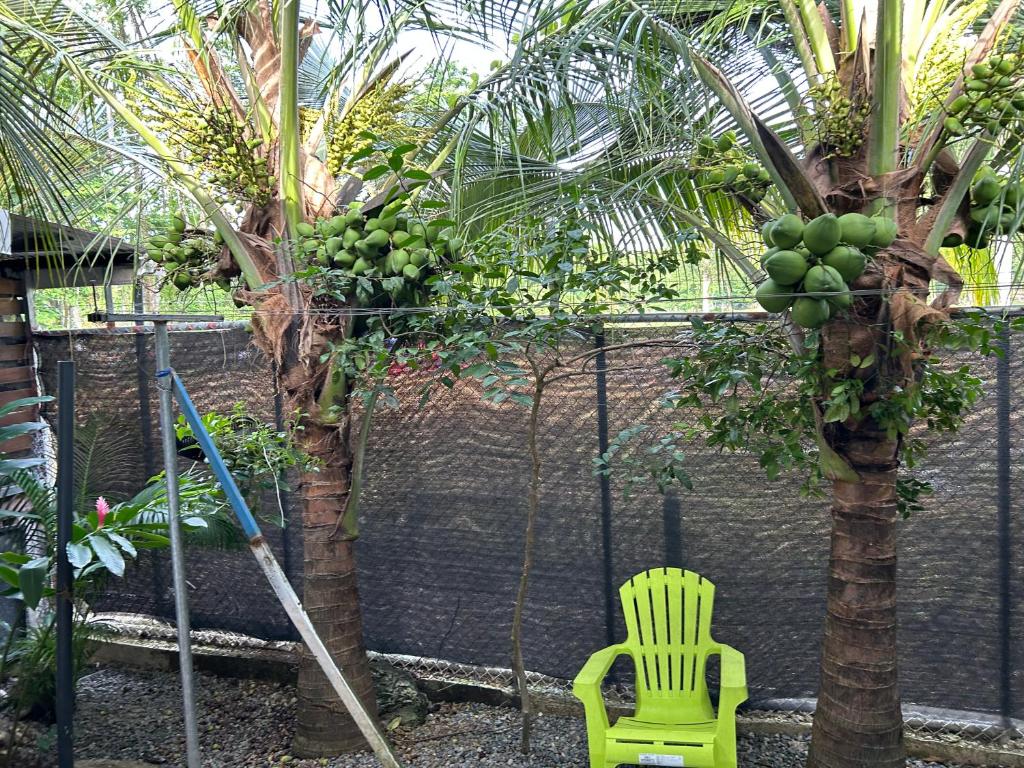 Κήπος έξω από το Casa Teo número 2