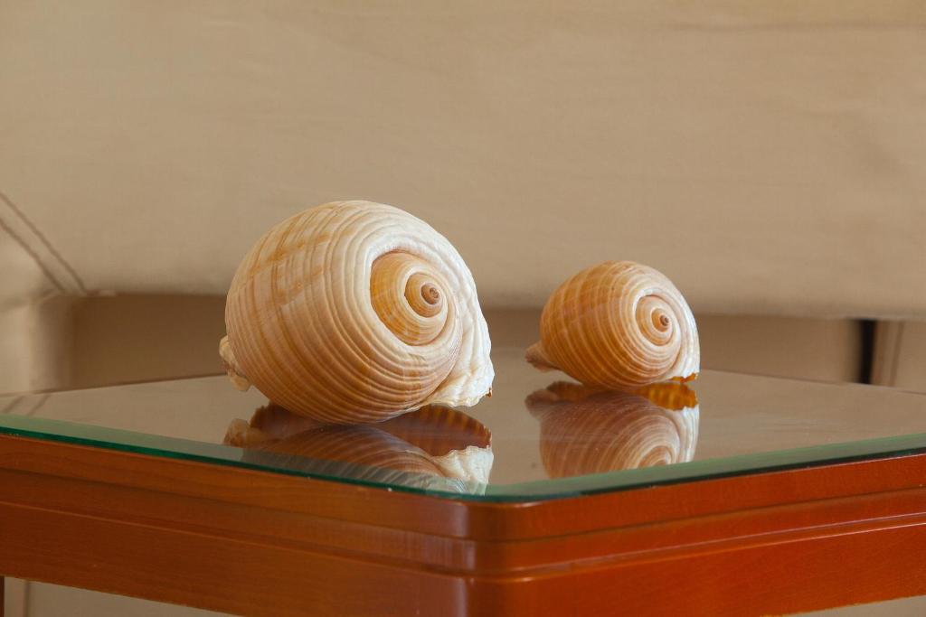Fotografie z fotogalerie ubytování Pavlos Hotel ve městě Kos