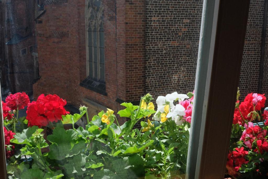 Academus Pub & Guest House - 8