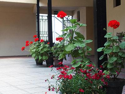 Zahrada ubytování Hotel Urgaín