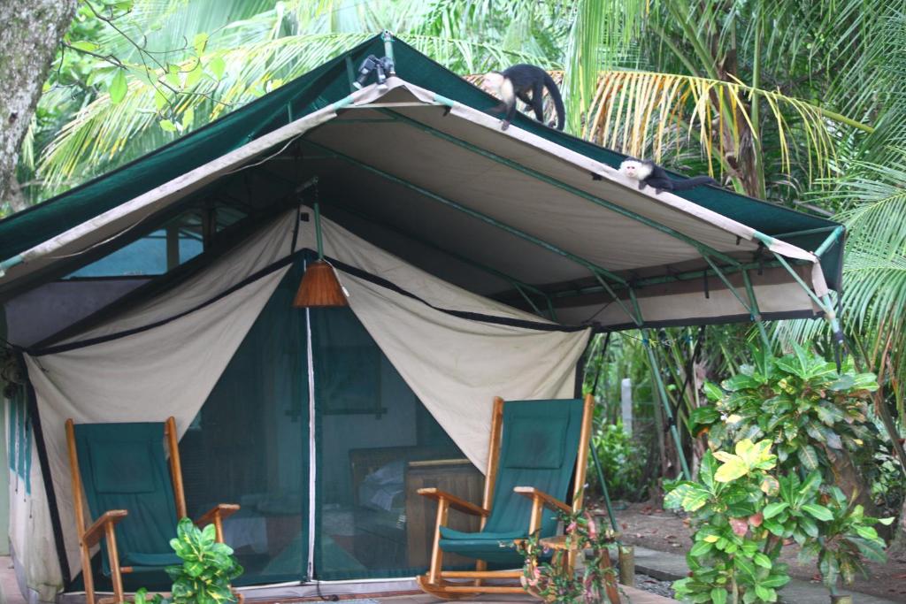 Zahrada ubytování Rafiki Beach Camp