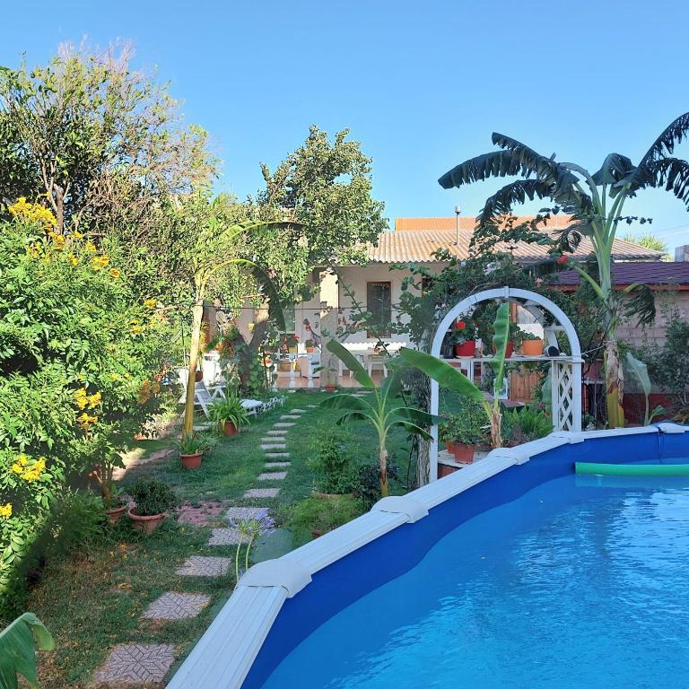 a backyard with a swimming pool and a house at B&B Marino E Lily in Baratili San Pietro