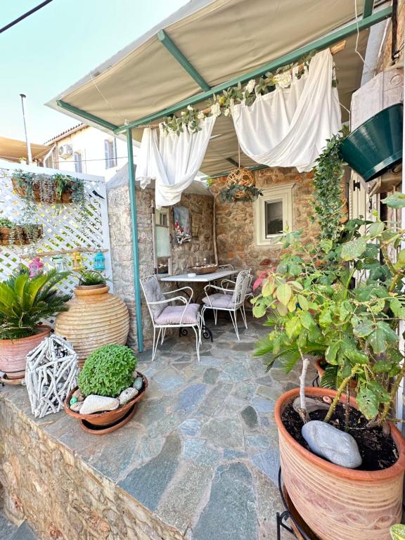 Φωτογραφία από το άλμπουμ του Hydrangea στην Ύδρα