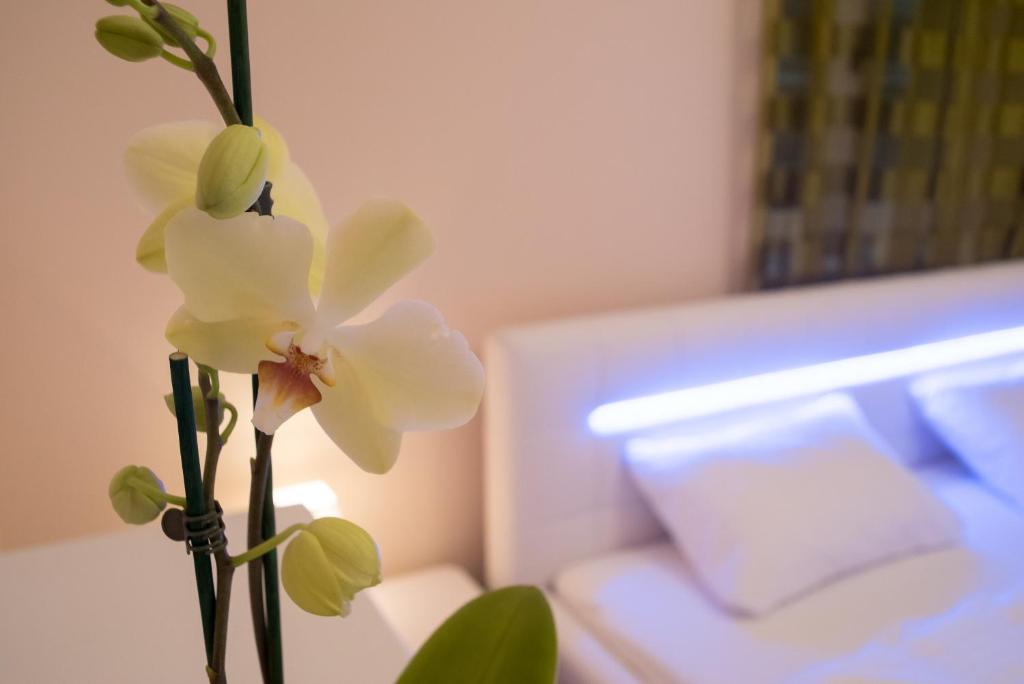 a white flower in a vase next to a couch at Anna Apartment in Budapest