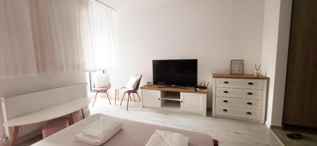 sala de estar con TV y tocador en Single room Perfect for couples or singles, en Roşu